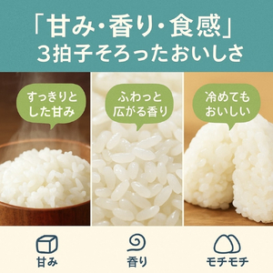 【先行予約】新米 5kg たはらの お米 おこめ 米 コメ ごはん ご飯 おかず 白飯 白ごはん お弁当 精米 お取り寄せ 災害 備え 愛知県 田原市 人気