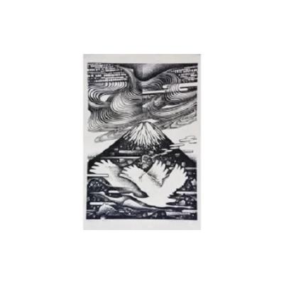 ふるさと納税 境町 【数量限定】【木版画家・冨張廣司】鳥翔ぶ(40cm×28cm・額付)