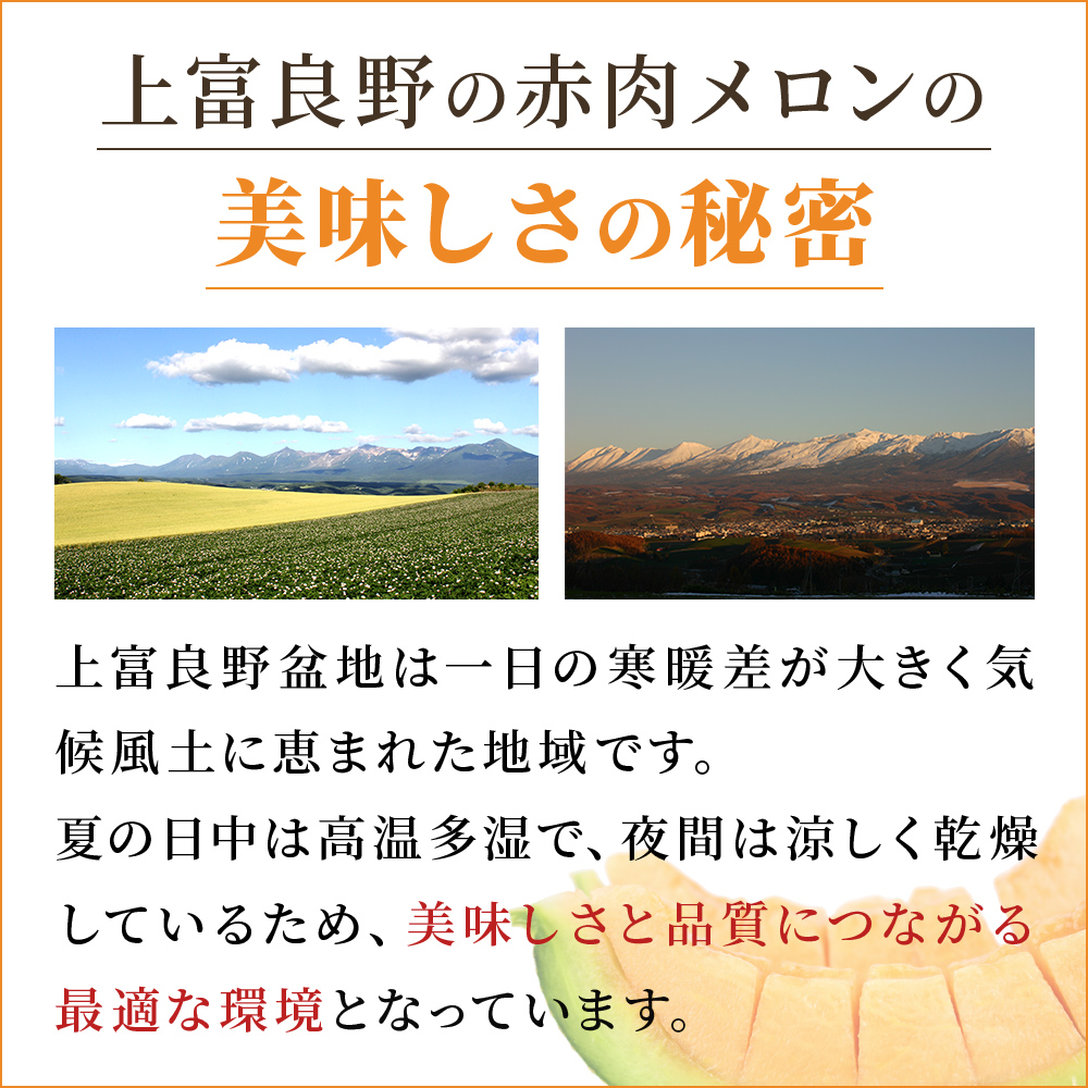 【 2025年発送 先行予約 】 ふらの 赤肉メロン 秀品 Lサイズ 1.6kg～1.9kg 2玉 セット ファーム富良野 メロン めろん 果物 くだもの フルーツ デザート 北海道