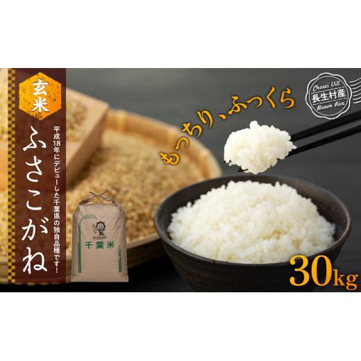 H04-B01 ふさこがね（玄米30kg）令和8年産