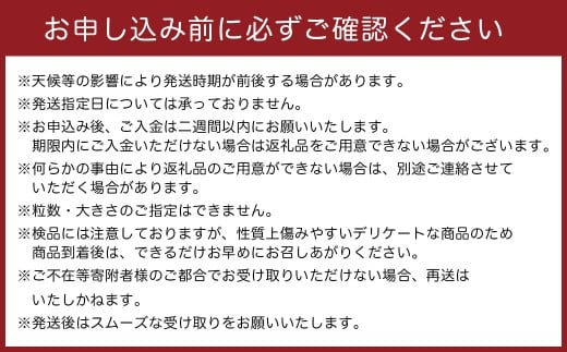 牟田農園の春の新玉ねぎ 5kg （S～L） 【2026年4月上旬～6月上旬迄順次発送予定】 たまねぎ タマネギ 野菜 新玉ねぎ 玉ねぎ 佐賀県 太良町 農家直送 M108