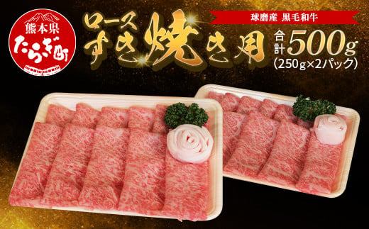 【順次発送】球磨産 黒毛和牛 ロース すき焼き用 500g（250g×2パック）【 牛肉 肉 すき焼き すきやき ロース やわらか 小分け 和牛 】 011-0063