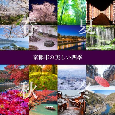 ふるさと納税 京都市 【和装振興応援プロジェクト】歳時記11月2「ボンジョレーヌーボ」京手描友禅 染帯|染帯 着物 織物 |  | 03