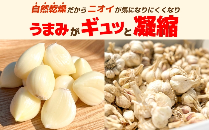 にんにく 高知県産 乾燥 ガーリック 薬味 お取り寄せ 訳あり 先行予約