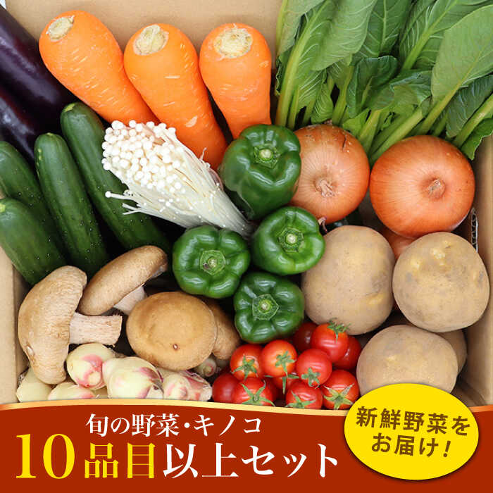  新鮮野菜・キノコ 10品目以上詰め合わせ / 野菜 やさい きのこ キノコ 詰め合わせ セット 野菜セット きのこセット / 吉岡青果 / 南島原市 [SCZ004]