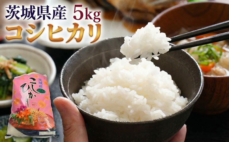 
                  コシヒカリ 5kg ( 5kg × 1袋 ) 令和7年産 茨城県産 米 お米 コメ 白米 こしひかり 茨城県 新生活 応援 茨城県 筑西市
                