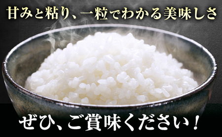 米 白米 コシヒカリ 5kg 令和7年産 都呂々みかん生産者グループ 精米