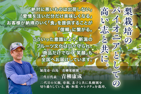 【2026年先行予約】青柳果樹園の和梨 幸水 5kg (10～14玉) 《8月下旬～順次出荷》 果物 しんこう 加茂市 青柳果樹園