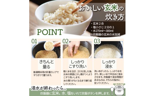 こだわり栽培 熊本県産 ひのひかり 玄米 約15kg | お米 米 こめ ごはん 玄米 熊本県 玉名市