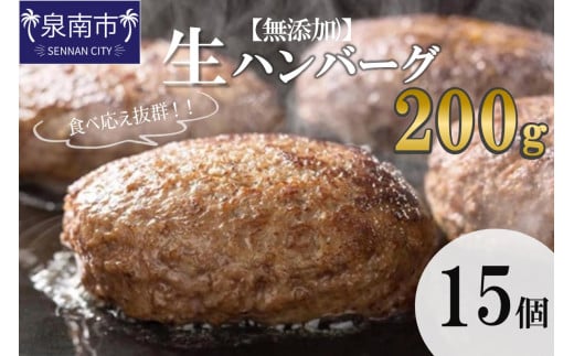 【無添加】食べ応え抜群！ 生ハンバーグ 200g 15個【087C-011】