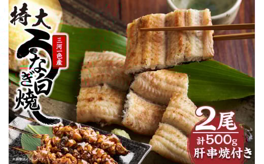 【土用の丑の日対応　一の丑7/6（日）入金まで二の丑7/21（月）入金まで】三河一色産　最高級うなぎセット 特大2尾（白焼2尾）計500g（冷蔵配送）（2332）