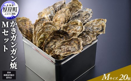漁協特製 かきガンガン焼 Mセット 20個 厚岸産牡蠣 カキ