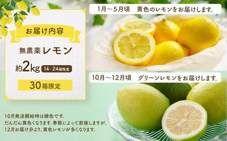 【20限定】皮まで美味しい無農薬レモン 約2kg