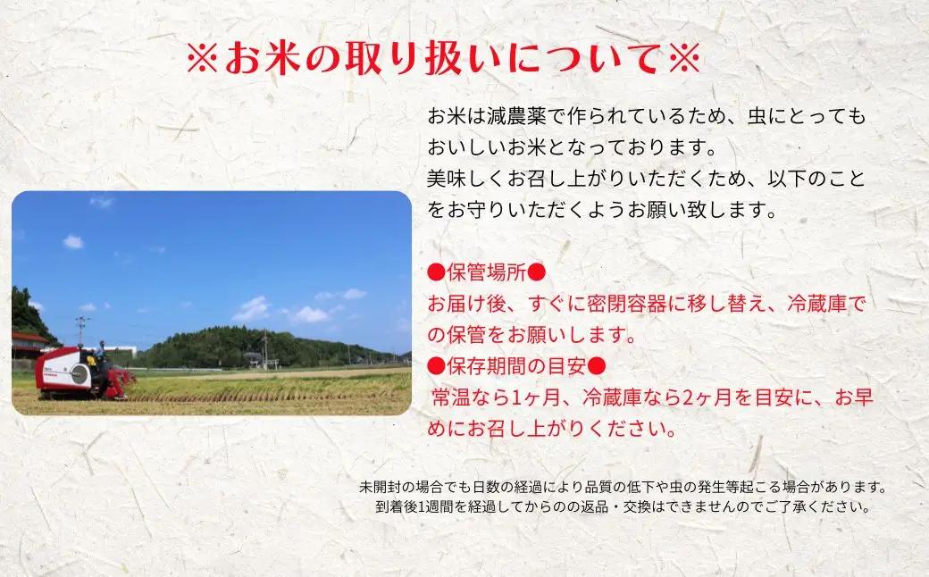 【令和8年度産】＜定期便4ヵ月＞お米 きぬむすめ 5kg×4回 定期便 お米