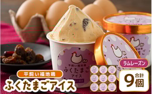  平飼い福地鶏「ふくたまごアイス」9個セット (ラムレーズン)【アイス アイスクリーム 洋菓子 スイーツ お菓子 デザート 詰め合わせ 詰合せ セット 冷凍 贈答 プレゼント ギフト 人気 お中元 夏ギフト 暑さ対策 】 [A-4940_02]