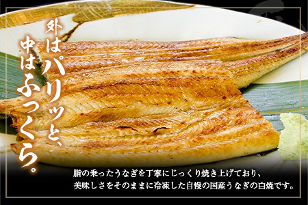 ＜12回定期便＞国産 うなぎ 白焼 有頭 1尾（181～215g）×12か月 計2.1kg以上 たれ付き 宮崎県産 鰻 中村商店