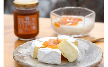 梅 『食べたらハマる 甘ずっぱい無添加梅セット（日本唯一！烏梅職人手づくり）』 無添加 梅 手作り ギフト プレゼント うめ セット 健康 ウメ 無添加 ぎふと 詰め合わせ 梅干し 職人 伝統 おかず