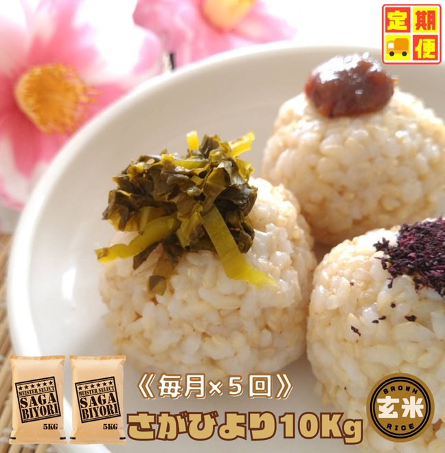 CID48_【５回定期便】さがびより１０kg【玄米】（５kg×２袋） 【五つ星お米マイスター厳選！】