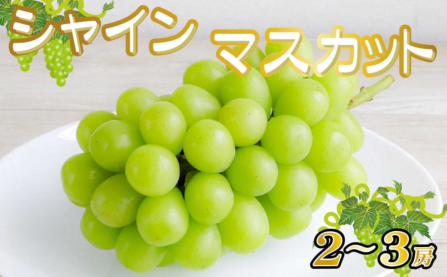 【産直もぎたて】シャインマスカット 1.3kg程度（2～3房 果実 くだもの フルーツ ブドウ 贈答用 限定）