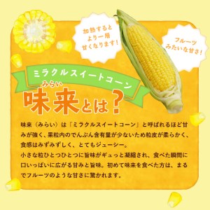 【2025年先行予約】北杜市産とうもろこし『味来』(みらい) 朝採り直送約5㎏セット(約14本） 【期間限定】 とうもろこし コーン 朝採り ミラクルスイートコーン 北杜市産 味来 14本 約5kg 