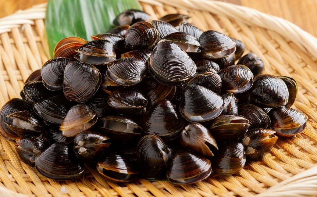 
            北海道網走湖産 ヤマトシジミ（600g × 4P） 【 ふるさと納税 人気 おすすめ ランキング しじみ シジミ 蜆 貝 しじみ貝 シジミ貝 ヤマトシジミ 網走湖産 北海道産 スープ 鍋 料理 産地直送 新鮮 オホーツク 北海道 網走市 送料無料 】 ABN003
          