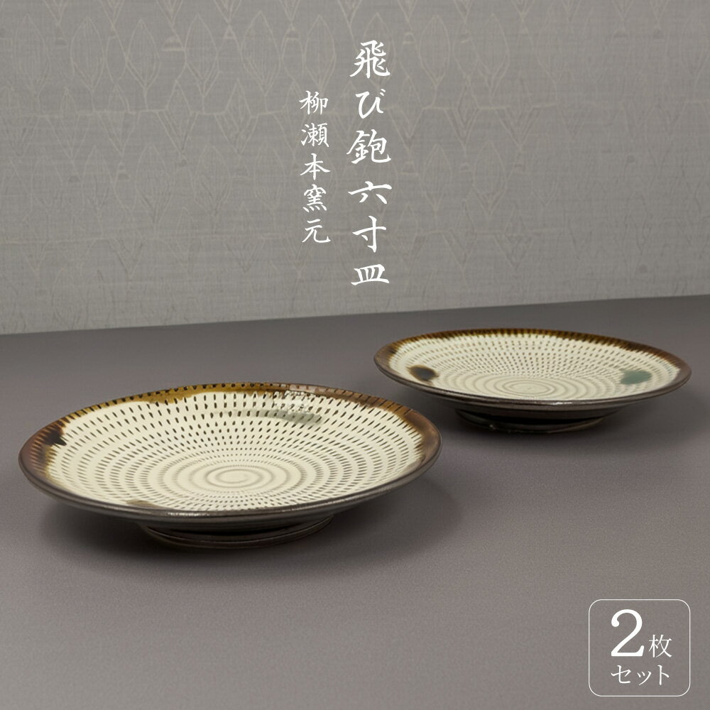 【ふるさと納税】飛び鉋 六寸皿 2枚組【柳瀬本窯元】