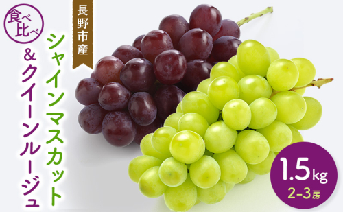 2026年産シャインマスカット&クイーンルージュ? 1.5kg 2-3房 食べ比べ 長野市産 フルーツ 果物 ぶどう ※配送不可:沖縄、離島