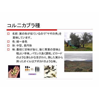 【180g×12本】毎日のオリーブ油　