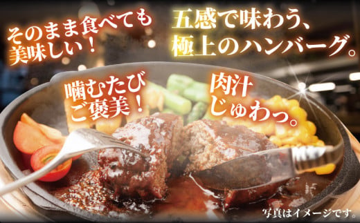ハンバーグ 10個 計 1.2kg 肉 にく セット 国産 黒毛和牛 鹿児島県産 黒豚 A4 A5ランク 使用 手作り はんばーぐ 惣菜 冷凍 和牛 豚肉 牛肉 ぶたにく ぎゅうにく ブランド牛 ブラ