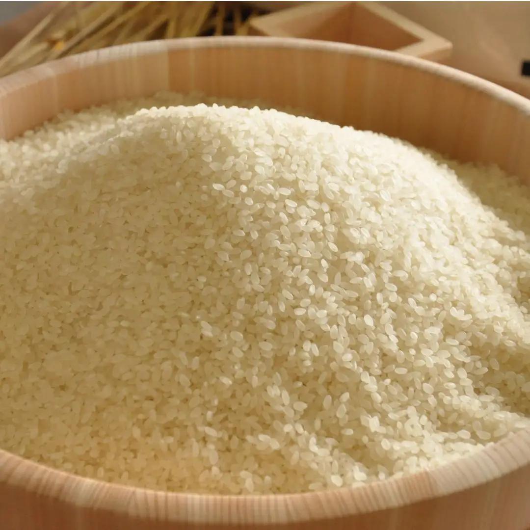 令和7年 新潟県産 新之助 10kg (5kg×2袋) しんのすけ [JAえちご中越]