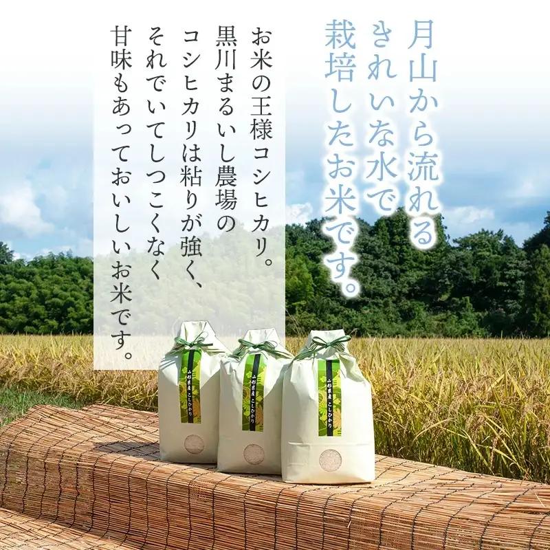 【令和7年産】 黒川まるいし農場の特別栽培米コシヒカリ玄米　5kg 　山形県鶴岡市産　K-740