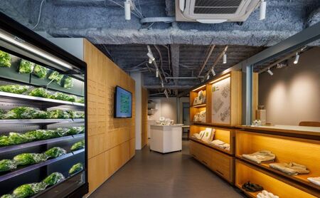 チケット 東京 【3.20(金・祝)開催】FARM HANEDA見学会チケット 見学 収穫 体験 体験チケット 植物工場 野菜 栽培 レタス ラディッシュ サラダホウレンソウ 大田区 東京都