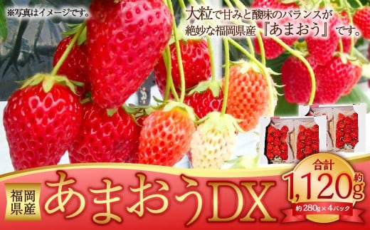 
										
										あまおうDX 約280g×4パック 合計約1120g デラックス いちご 苺 果物 くだもの フルーツ 【2025年2月上旬~4月上旬発送予定】
									