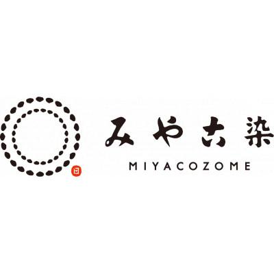 ふるさと納税 茅ヶ崎市 【染色キット】みやこ染　夢しぼりクッションカバーキット　(ロコビーチ) |  | 03