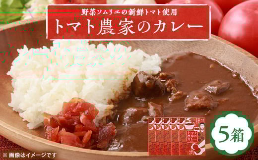 
＜大阪産＞トマト農家のカレー5箱　簡単便利でとってもおいしいあると便利な一品/保存食にも便利【1316537】
