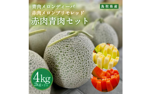 956.【ふるさと納税】青肉メロンディーバと赤肉メロンプリモレッドのセット ※日本全国配送可能  2025年10月上旬頃～11月上旬頃に順次発送予定 313726_BQ012