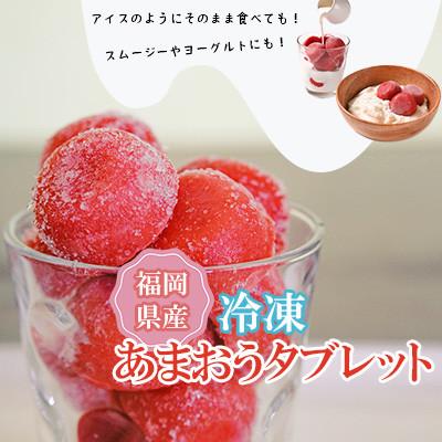 ふるさと納税 宮若市 【あまおう95%】いちごの冷凍タブレット約1200g(宮若市)
