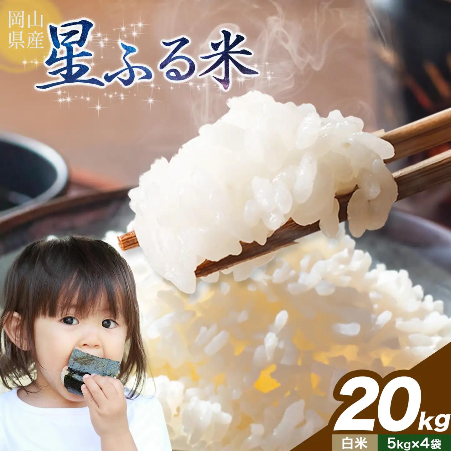 白米 星ふる米 20kg h