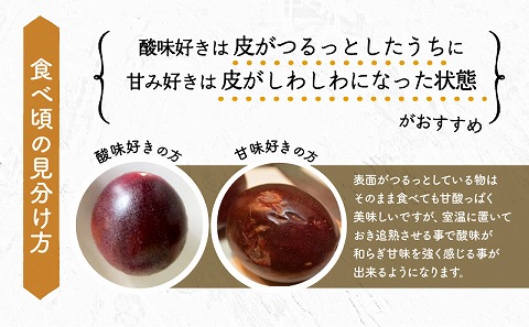 《2025年発送》【期間・数量限定】8年かけて誕生した宮崎県産極上パッションフルーツＬ　2kg