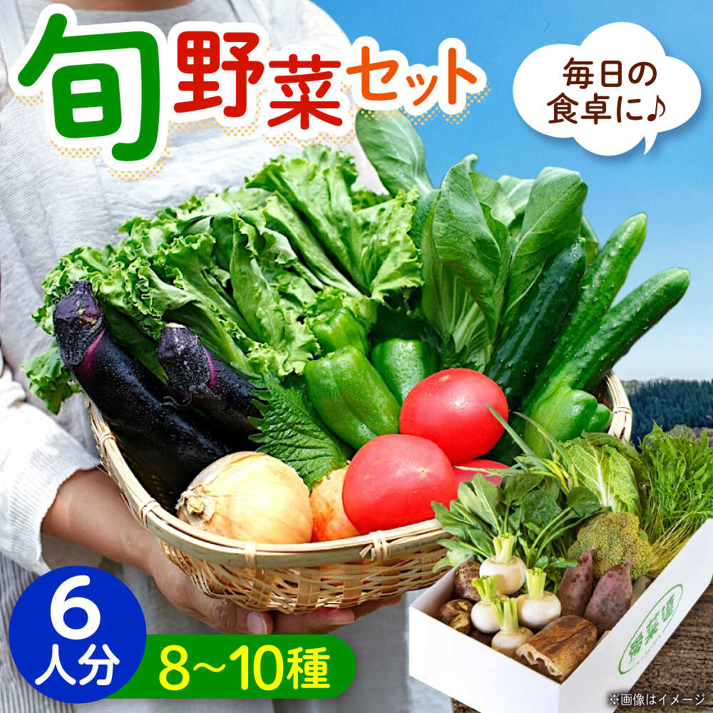 【ふるさと納税】愛菜連のおまかせ野菜パック（6人用）野菜詰合せ 旬 旬の野菜 野菜セット 産地直送 ミネラル ビタミン 豊富 おすすめ 人気 送料無料 新鮮 とれたて 季節の野菜 詰め合わせ 定期便 宅配 安心 健康 ふるさと納税 広島県福山市/マルフク株式会社[BAFW002]