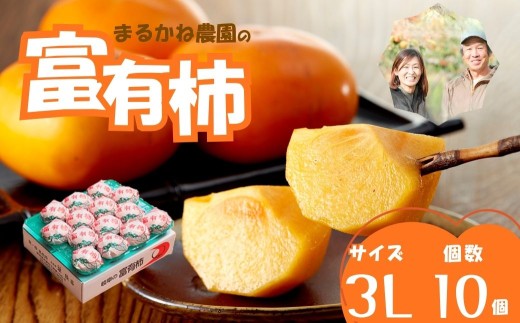 【令和8年産／2026年11月上旬～発送予定】 富有柿 贈答用 3Lサイズ 10個入り 先行予約 | まるかね農園