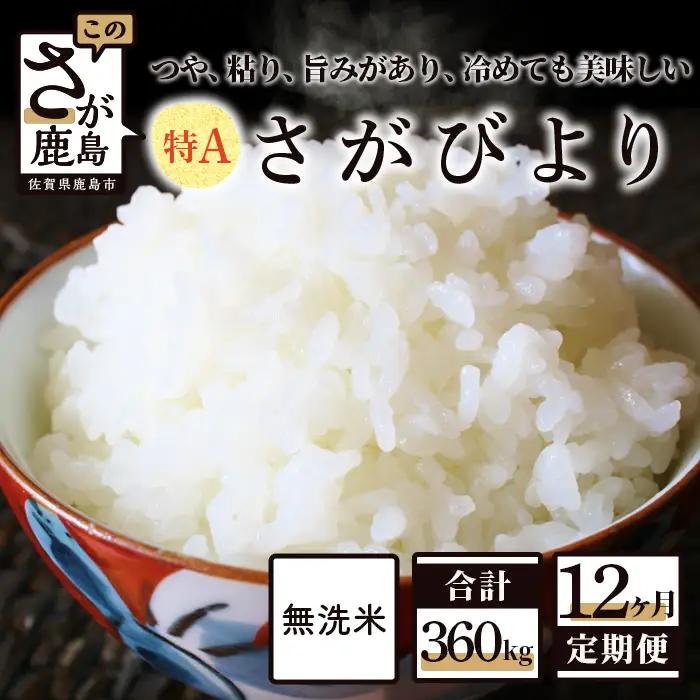 無洗米 さがびより 30kg 定期便 12回（12か月） 佐賀県産 V-37 合計360kg お米 白米 精米