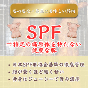 【チャーシュー専門店ミートポーク山水】ポークジャーキー（ペッパー&チーズ）切落し 約50g ／ SPF SPF豚 SPF豚肉 林SPF 豚肉 肩ロース ジャーキー 干し肉 切落し