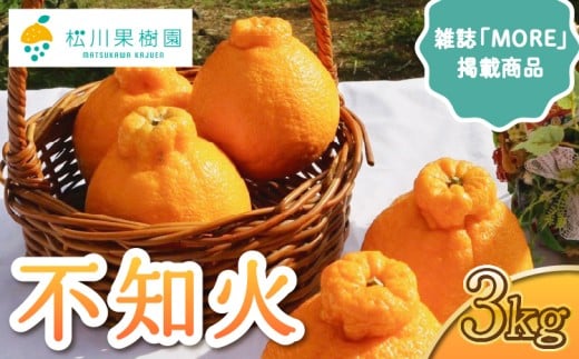 先行予約【雑誌 MORE 掲載】不知火 約3kg (約9～12玉) 【2026年3月上旬から4月下旬発送予定】しらぬい 柑橘 みかん ミカン 蜜柑 果物 くだもの フルーツ