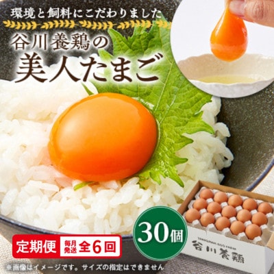 【毎月定期便】計180個【生みたて濃厚】谷川養鶏の美人たまご30ヶ入り　※サイズ指定できません全6回【配送不可地域：離島】