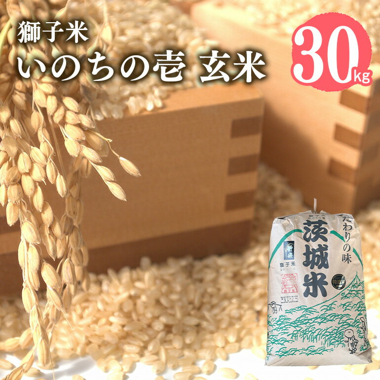 【ふるさと納税】【令和7年産】獅子米 いのちの壱 玄米 30kg（精米可） 岡田ファーム コンテスト受賞米 お米 米 おこめ ブランド米 30キロ 国産 コメ こめ ご飯 茨城県産 茨城 産直 産地直送 農家直送 ごはん 家庭用 贈答用 お取り寄せ 送料無料 (B02-020)