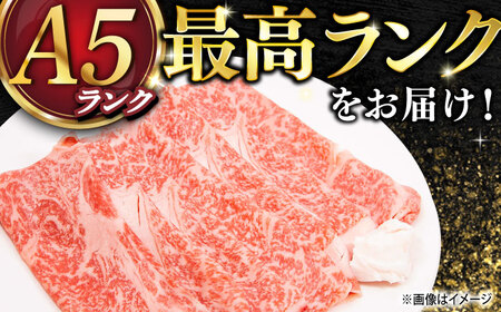 長崎和牛 A5ランク レモンステーキ（ウデ･みすじ）400ｇ 《小値賀町》【有限会社肉の相川】 [DAR046][DAR046]