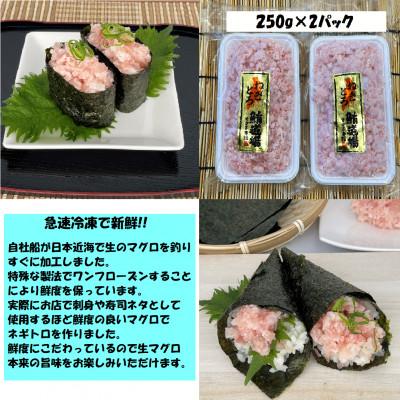 ふるさと納税 須崎市 手作りネギトロ　500g |  | 02