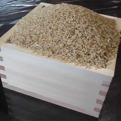 ふるさと納税 上郡町 【栽培期間中農薬不使用】『タガメの里・自然米』2025年産「にこまる」玄米10kg