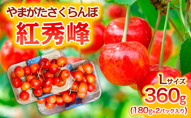 
                  やまがた さくらんぼ 紅秀峰 Lサイズ 360g(180g×2パック入り) 1箱【令和9年産先行予約】FS25-575 くだもの 果物 フルーツ 山形 山形県 山形市 2026年産
                